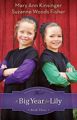 Picture of Big Year for Lily, A - eBook [ePub]