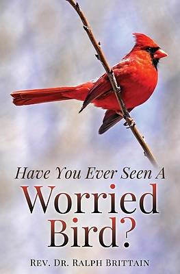 Picture of Have You Ever Seen A Worried Bird?