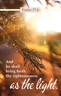 Picture of As the Light Worship Bulletin PKG 100