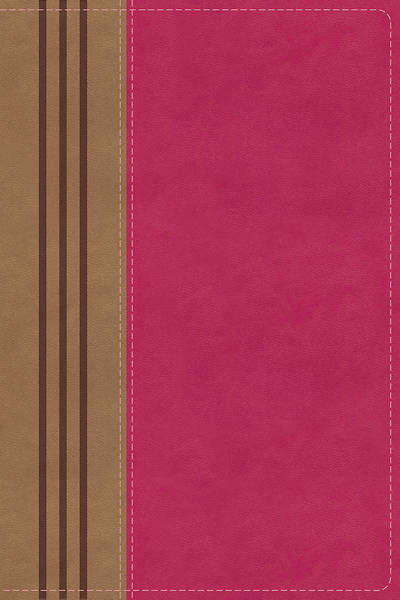 Picture of NIV, Biblical Theology Study Bible, Imitation Leather, Pink/Brown, Comfort Print