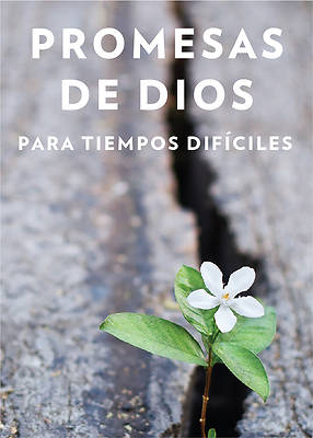 Picture of Promesas de Dios Para Tiempos Difíciles / God's Promises When You Are Hurting