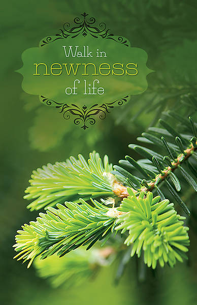 Picture of Walk in Newness Of Life General Size Regular Bulletin