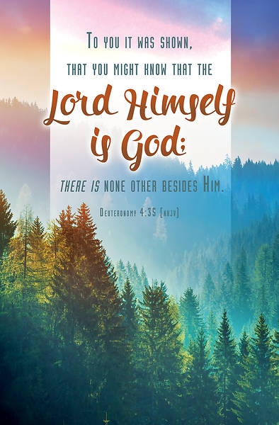 Picture of Lord Himself is God General Regular Size Bulletin