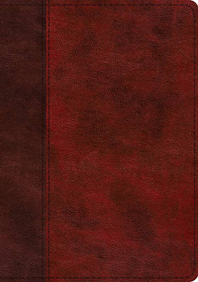 Picture of ESV Study Bible (Trutone, Burgundy/Red, Timeless Design)