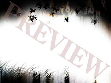 Picture of Download Still Falling Leaves