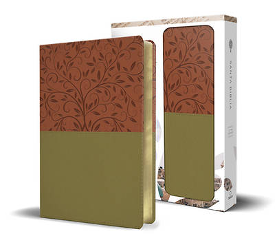 Picture of Santa Biblia Rvr 1960 - Letra Grande, Imitación Piel Verde/Marrón, Imágenes de de Tierra Santa / Spanish Holy Bible Rvr 1960 - Large Print