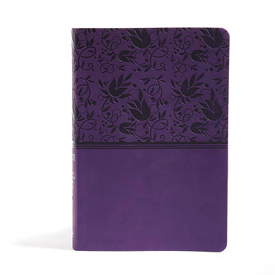 Picture of NIV Rainbow Study Bible