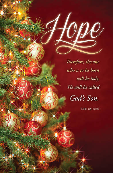 Hope God's Son Advent Bulletin