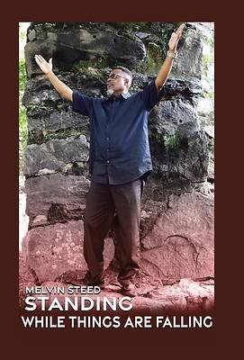 Picture of Standing While Things Are Falling