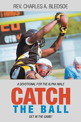 Picture of Catch the Ball