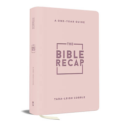 Picture of The Bible Recap