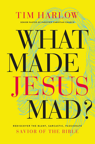 Picture of What Made Jesus Mad?