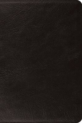 Picture of ESV Large Print Bible (Black)