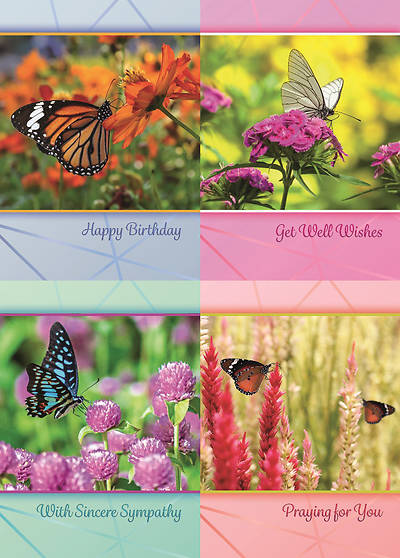 Picture of Butterfly Gardens All Occasion Boxed Cards