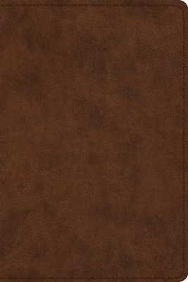 ESV Study Bible, Personal Size (Trutone, Brown)