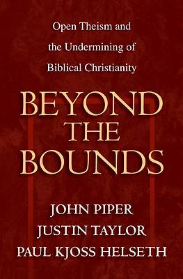 Picture of Beyond the Bounds