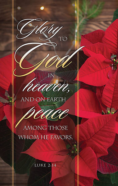 Picture of Glory to God Christmas Banner 3 x 5 Vinyl