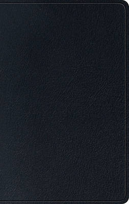 Picture of ESV Single Column Thinline Bible (Black)