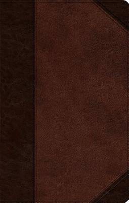 Picture of Ultrathin Bible-ESV-Portfolio Design