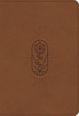 Picture of ESV Kid's Bible, Compact (Trutone, the True Vine)
