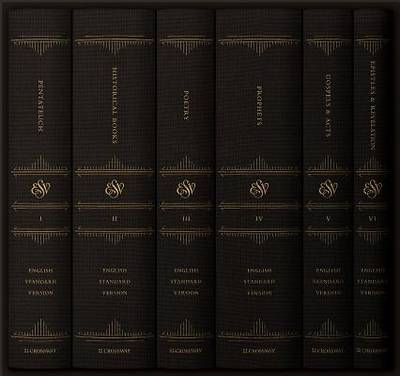 Picture of ESV Reader's Bible, Six-Volume Set
