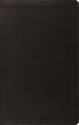 Picture of Value Thinline Bible-ESV