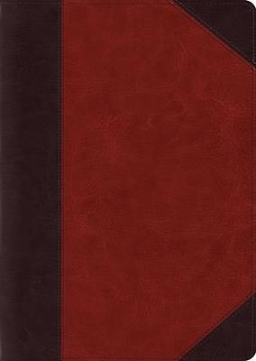 Picture of ESV Study Bible, Large Print (Trutone, Brown/Cordovan, Portfolio Design)