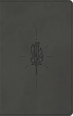 Picture of ESV Kid's Thinline Bible (Trutone, Sword of the Spirit)