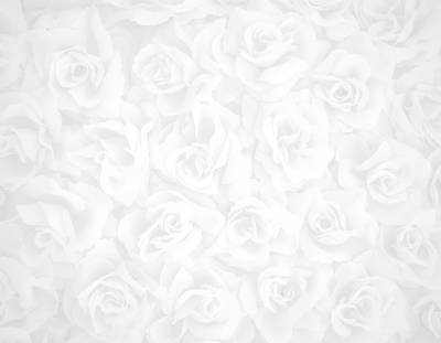 Picture of Wedding Bulletin Insert Sheet Pkg of 100