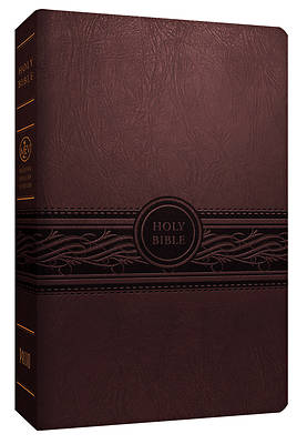 Picture of Personal Size Large Print Bible-Mev