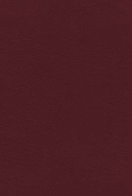 Niv, Kjv, Nasb, Amplified, Parallel Bible, Bonded Leather, Burgundy