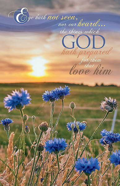 Picture of Eye Hath Not Seen Funeral Regular Size Bulletin