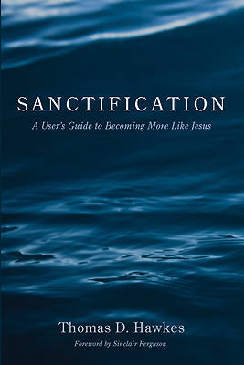 Picture of Sanctification
