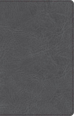 Picture of CSB Thinline Bible, Charcoal Leathertouch