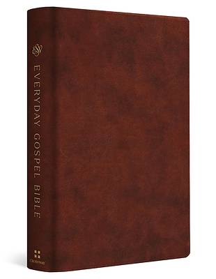 ESV Everyday Gospel Bible