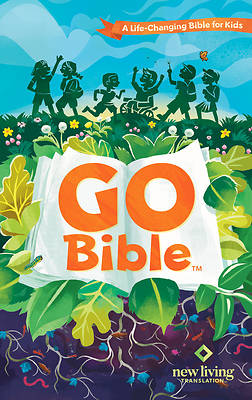 Picture of Go Bible