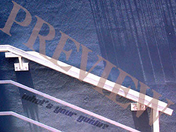 Picture of Download Still What's Your Guide