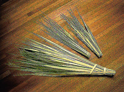 24 Inch Palm Strips - Pack of 100