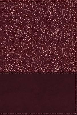 Picture of NRSV Cultural Backgrounds Study Bible, Leathersoft, Burgundy, Comfort Print