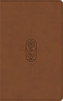 Picture of ESV Kid's Thinline Bible (Trutone, the True Vine)