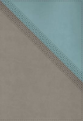 NIV Application Bible, Leathersoft, Teal/Grey, Red Letter, Comfort Print