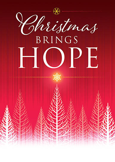 Christmas Brings Hope Cards - Box of 12 John 10:10 NKJV