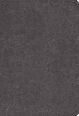 Picture of ESV Student Study Bible (Trutone, Gray)