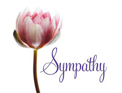 Picture of Church Letter of Sympathy Cards-KJV (package of 12)