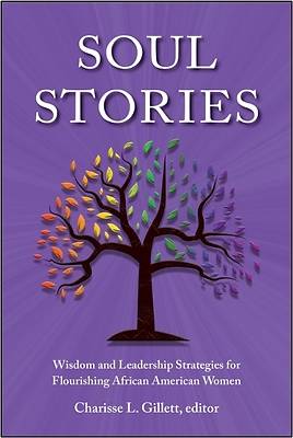 Picture of Soul Stories