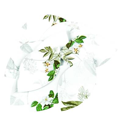 Picture of Tabletop  Blessings Cross Replacement Cards Pkg of 25