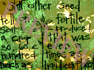 Picture of Download Still Parable Of The Seeds