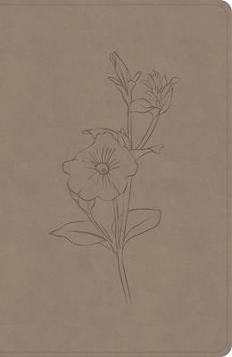 Picture of CSB Personal Size Giant Print Bible, Digital Study Edition, Earth Suedesoft Leathertouch, Indexed