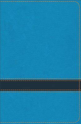 Picture of KJV Study Bible for Boys Ocean/Navy Leathertouch
