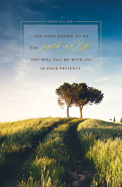 Picture of Path of Life General Regular Size Bulletin